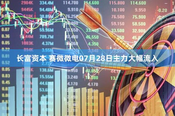 长富资本 赛微微电07月28日主力大幅流入