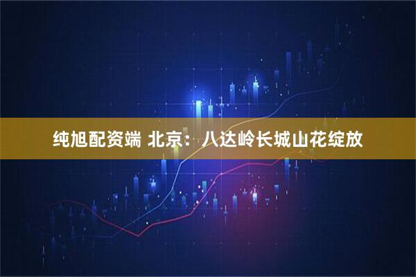 纯旭配资端 北京：八达岭长城山花绽放